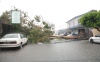 Dos árboles se cayeron, uno encima de
una vivienda en Escobedo y Calle 19 y el otro árbol en la colonia Las Fuentes dañando un automóvil.