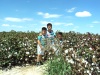Miguel Espino Huitron, Nietos Espino Arroyo en una parcela de algodón en Vega Larga, Coahuila