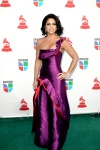 Pepe Aguilar, quien interpretó 'Perdóname' en la décima entrega de los premios Grammy Latino.