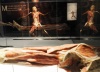 'Bodies, arte más fascinación'