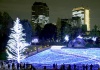 Espectáculo. Visitantes admiran la iluminación en un parque de Tokio, Japón.