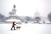 Una persona con su perro practica esquí frente al Capitolio estadounidense
enWashington, Estados Unidos.
