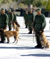 Hubo demostración de unidades del cuerpo militar y del grupo canino.