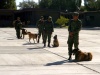 Soldados del 33 Batallón de Infantería de Torreón realizaron una demostración con perros entrenados para detectar droga, en la celebración del Día del Ejército, en el que se resaltó la lucha contra el crimen.