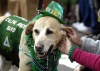 Las danzas en Dublín y los desfiles en Nueva York, repletos de personas en faldas escocesas y pintura corporal verde, encabezaron celebraciones mundiales por el día de San Patricio.