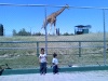 Estamos en un show de Sea World en San Antonio Tx. Fotografía enviada por Jaime.