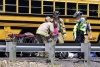 Los autobuses llevaban a los estudiantes al parque de atracciones Six Flags aproximadamente a 10 millas de la escena del accidente.