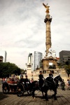 Los restos de los catorce héroes más importantes de la Independencia de México fueron trasladados ayer del Castillo de Chapultepec de Ciudad de México, al Palacio Nacional capitalino, donde serán expuestos durante 11 meses.