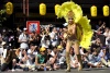 El festival de samba de Asakusa nació en 1981 cuando el alcalde de uno de los 23 distritos que componen la capital japonesa invitó a la escuela de samba ganadora de aquel año en el carnaval de Río de Janeiro a hacer una demostración en Tokio.