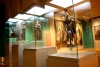 En  el museo Arocena se encuentra una sala permanente sobre el Arte Virreinal Mexicano.