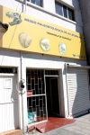 El Museo de Paleontología está ubicado en pleno centro de la ciudad de Torreón, Coahuila por la Avenida Juárez, entre las calles Leona Vicario e Ildefonso Fuentes.