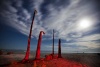 Varios troncos de palmeras moribundas situadas en la orilla de la playa de Salton Sea (EU).