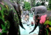 Niños arrojan agua a los elefantes celebrando el Songkran.