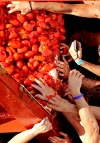 La tradicional fiesta de la Tomatina reunió a más de 40 mil personas, que se lanzaron 120 toneladas de tomate en una 'guerra' muy singular, que viste las calles del centro de Buñol, este de España, y a sus protagonistas de color rojo.