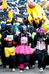 Cientos de corredores vestidos de gorila participan en una carrera benéfica por las calles del centro de Londres.