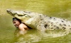 El cocodrilo Pocho, famoso por ser el único saurio 'domesticado' del mundo y por nadar, hacer trucos y jugar con su dueño, el pescador costarricense Gilberto Shedden, murió por causas desconocidas