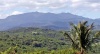 El bosque nacional El Yunque o simplemente El Yunque (antes llamado bosque nacional del Caribe1 ) es un bosque nacionallocalizado en Puerto Rico y es el único bosque lluvioso tropical en el Sistema de Bosques Nacional en los Estados Unidos. Lleva su nombre en honor al benévolo dios indígena Yuquiyú y es uno de los lugares conocidos más lluviosos del mundo.