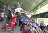 En Tailandia un elefante es vestido de Santa Claus y su entrenador reparte regalos entre los niños de un colegio.