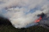 Los incendios forestales afectaron a más de 611 mil hectáreas en el país. En Coahuila, fueron consumidas por el fuego más de 200 mil hectáreas en menos de un mes.


http://www.elsiglodetorreon.com.mx/noticia/617981.eu-envia-dos-hercules-a-mexico-por-incendios.html

http://www.elsiglodetorreon.com.mx/noticia/623550.van-286-mil-hectareas-afectadas-en-coahuila.html

http://www.elsiglodetorreon.com.mx/noticia/631793.incendios-afectan-a-mas-de-611-mil-has-en-el.html