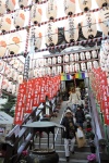 Ya casi llega el año chino, y varias personas visitan el templo Yagenbori Fudusan en Tokio para iniciar los festejos del año del dragón.
