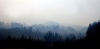 Los incendios forestales, que ya han arrasado más de 55 mil hectáreas en el sur del país.