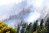 Una brigada de 10 voluntarios fue cercada por el fuego cuando combatía las llamas en Carahue, localidad de la provincia de Cautín, a unos 700 kilómetros al sur de Santiago.