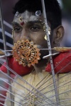 Es común ver a los hinduístas con diferentes perforaciones durante la festividad hinduísta de Thaipusam.