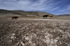 Habitantes caminan sobre terreno árido, producto de la sequía en el municipio de Puerto Grande, estado de Nuevo León (México).