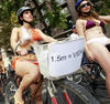 Unos 500 ciclistas desnudos, con los cuerpos pintados o disfrazados se pasearon para llamar la atención por sus derechos.