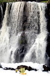 En el marco de la celebración del Día Mundial del Agua, activistas de Greenpeace protestaron en la cascada "El Salto de Juanacatlán".