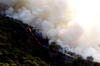 El incendio fue originado por la quema de un basurero ilegal en el área de Arenales Tapatíos, cercana al bosque, y el fuerte viento propició que el fuego se extendiera hacia la zona forestal.