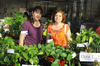 29052012 MAVISA  Ramírez de Morales y Tita Chifer de Mijares, fueron las anfitrionas de la Exposición Floral Estándar.