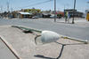 En la carretera rumbo al Esterito de Torreón la mayor parte de los postes han sufrido robo de cable.