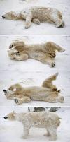 Combo de imágenes que muestra a un oso polar jugando en el nevado zoológico de Berlín, Alemania.