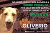 "Oliverio" se burla de las campañas del PRI y del PAN.