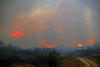 El incendio ha arrasado unas 800 hectáreas de bosque, según ha informado el portavoz de la división forestal del estado de Arizona.