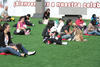 Los asistentes tuvieron la oportunidad de convivir con sus perritos en los diferentes stands.