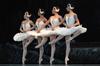 Familias enteras que se dieron cita para ver la historia de Sigfrido y Odette, en un despliegue de bailarines que escena tras escena arrancaron al público aplausos, por la interpretación del clásico de Tchaikovsky.