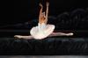 Con una gran producción escénica, en la que lucieron vestuario y telones, además del nivel que desde hace años ha caracterizado a los integrantes del Ballet de Monterrey, miles de laguneros se dieron cita en el Teatro Nazas, para disfrutar las dos funciones de "El Lago de los Cisnes".