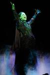 Fue una noche en la que Danna Paola, en su papel de "Elphaba", acalló los prejuicios y sorprendió al público con su talento, mientras que Cecilia de la Cueva brilló con su experiencia y su voz al interpretar a "Glinda".