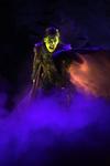 "En esta ocasión, el papel de ‘Glinda’ será interpretado por Cecilia de la Cueva, y el de ‘Elphaba’, por Danna Paola", anunció una voz en "off".