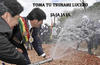 El mandatario de Bolivia, Evo Morales, también se burló de Lucero con una fotografía a través de su cuenta oficial en Twitter.