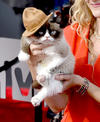 El famoso gato estrella de las redes sociales, conocido como 'The Grummpy Cat', causó sensación en la alfombra roja.