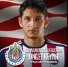 El Draft 2014 marcó el final de una era en Tigres, ya que el capitán felino Lucas Lobos se fue al Toluca en venta definitiva.