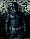 En 2008 con Batman: The Dark Knight se muestra un traje más sombrío y sin el logo amarillo en el pecho.