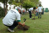 Ciudadanos han plantado su árbol contribuyendo así con este proyecto.