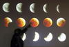 Se trata del segundo eclipse de una tétratada de Lunas de Sangre que tendrán lugar este y el próximo año.