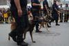 Elementos de la Policía Municipal escenificaron la captura de un sospechoso con el escuadrón canino.
