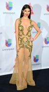 La modelo y presentadora puertorriqueña Roselyn Sánchez lució un atrevido atuendo que atrajo miradas.