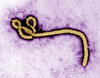 3 de abril | Ébola. El gobierno de Mali confirma los primeros casos de ébola en su territorio, lo que daría inicio al proceso de expansión del virus que se convertiría en una epidemia y problema de salud pública mundial.